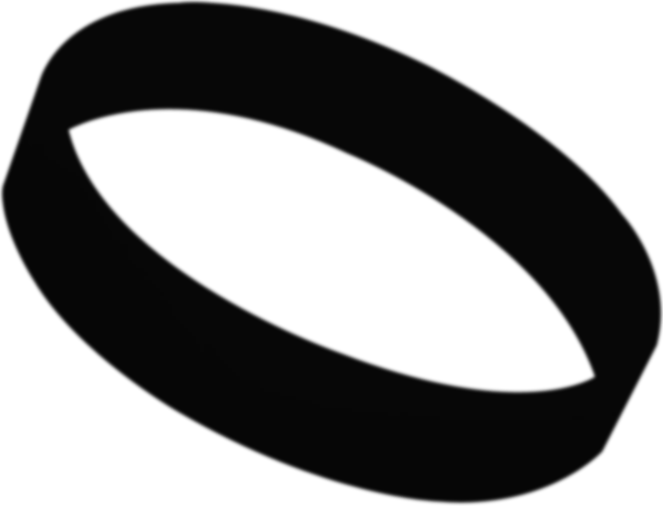 Custom Tyvek® Wristbands